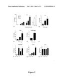 INHIBITION OF SOX9 FUNCTION IN THE TREATMENT OF PROTEOGLYCAN-ASSOCIATED PATHOPHYSIOLOGICAL CONDITIONS diagram and image