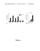 INHIBITION OF SOX9 FUNCTION IN THE TREATMENT OF PROTEOGLYCAN-ASSOCIATED PATHOPHYSIOLOGICAL CONDITIONS diagram and image