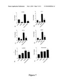 INHIBITION OF SOX9 FUNCTION IN THE TREATMENT OF PROTEOGLYCAN-ASSOCIATED PATHOPHYSIOLOGICAL CONDITIONS diagram and image