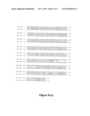 INHIBITION OF SOX9 FUNCTION IN THE TREATMENT OF PROTEOGLYCAN-ASSOCIATED PATHOPHYSIOLOGICAL CONDITIONS diagram and image