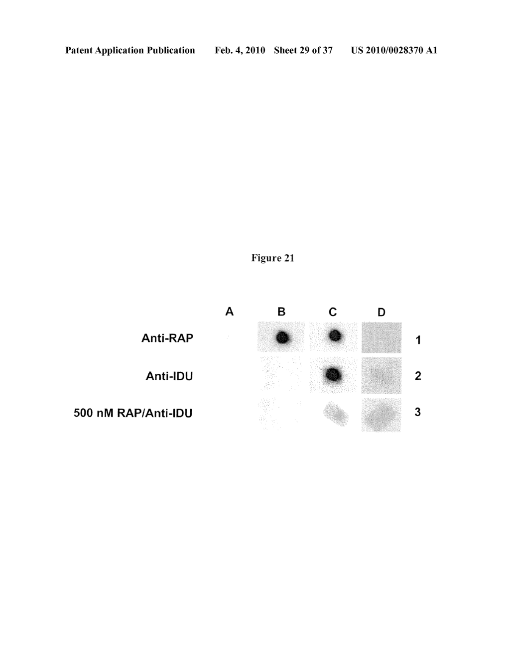 MEGALIN-BASED DELIVERY OF THERAPEUTIC COMPOUNDS TO THE BRAIN AND OTHER TISSUES - diagram, schematic, and image 30