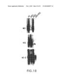 Recombinant RSV Virus Expression Systems And Vaccines diagram and image