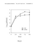 Recombinant RSV Virus Expression Systems And Vaccines diagram and image