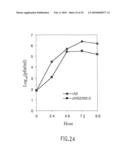 Recombinant RSV Virus Expression Systems And Vaccines diagram and image