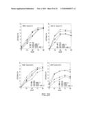 Recombinant RSV Virus Expression Systems And Vaccines diagram and image