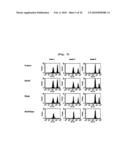 B CELL-BASED VACCINE LOADED WITH THE LIGAND OF NATURAL KILLER T CELL AND ANTIGEN diagram and image