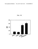 B CELL-BASED VACCINE LOADED WITH THE LIGAND OF NATURAL KILLER T CELL AND ANTIGEN diagram and image