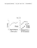 B CELL-BASED VACCINE LOADED WITH THE LIGAND OF NATURAL KILLER T CELL AND ANTIGEN diagram and image