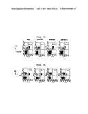 B CELL-BASED VACCINE LOADED WITH THE LIGAND OF NATURAL KILLER T CELL AND ANTIGEN diagram and image