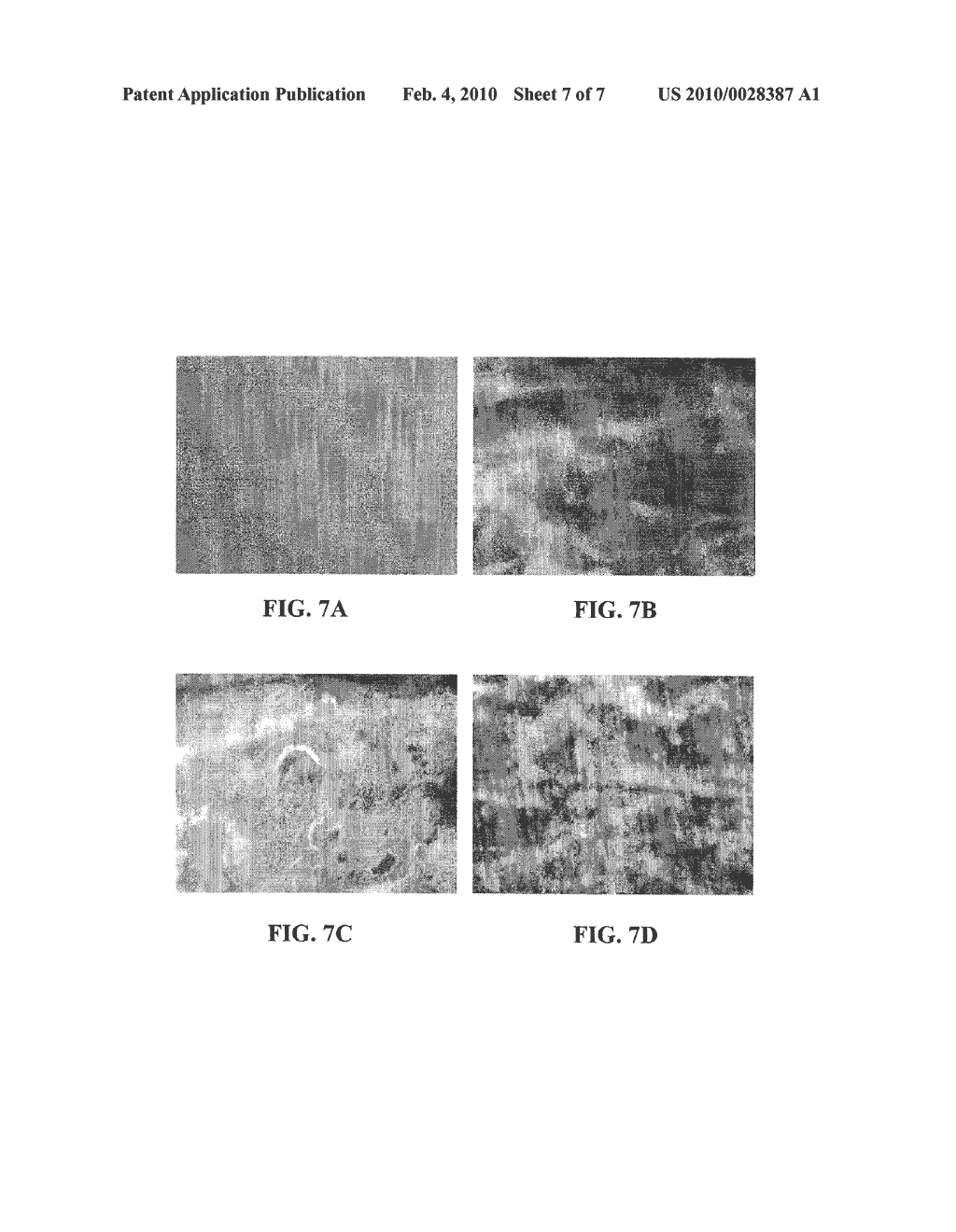 Biocompatible Coated Nanostructured Titanium Surfaces - diagram, schematic, and image 08