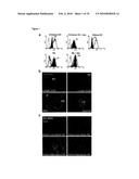 GAINAC SPECIFIC BINDING MOLECULES AND USES THEREOF diagram and image