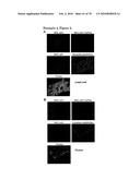 GAINAC SPECIFIC BINDING MOLECULES AND USES THEREOF diagram and image