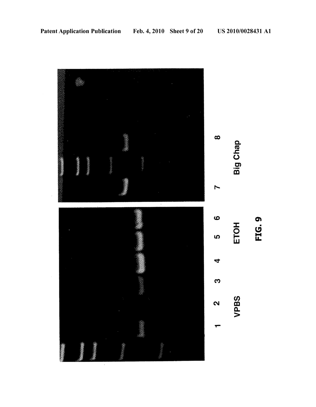 COMPOSITIONS AND METHODS FOR THERAPEUTIC USE - diagram, schematic, and image 10