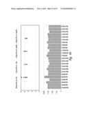 COMPOSITIONS AND METHODS FOR TREATING INFLAMMATION diagram and image