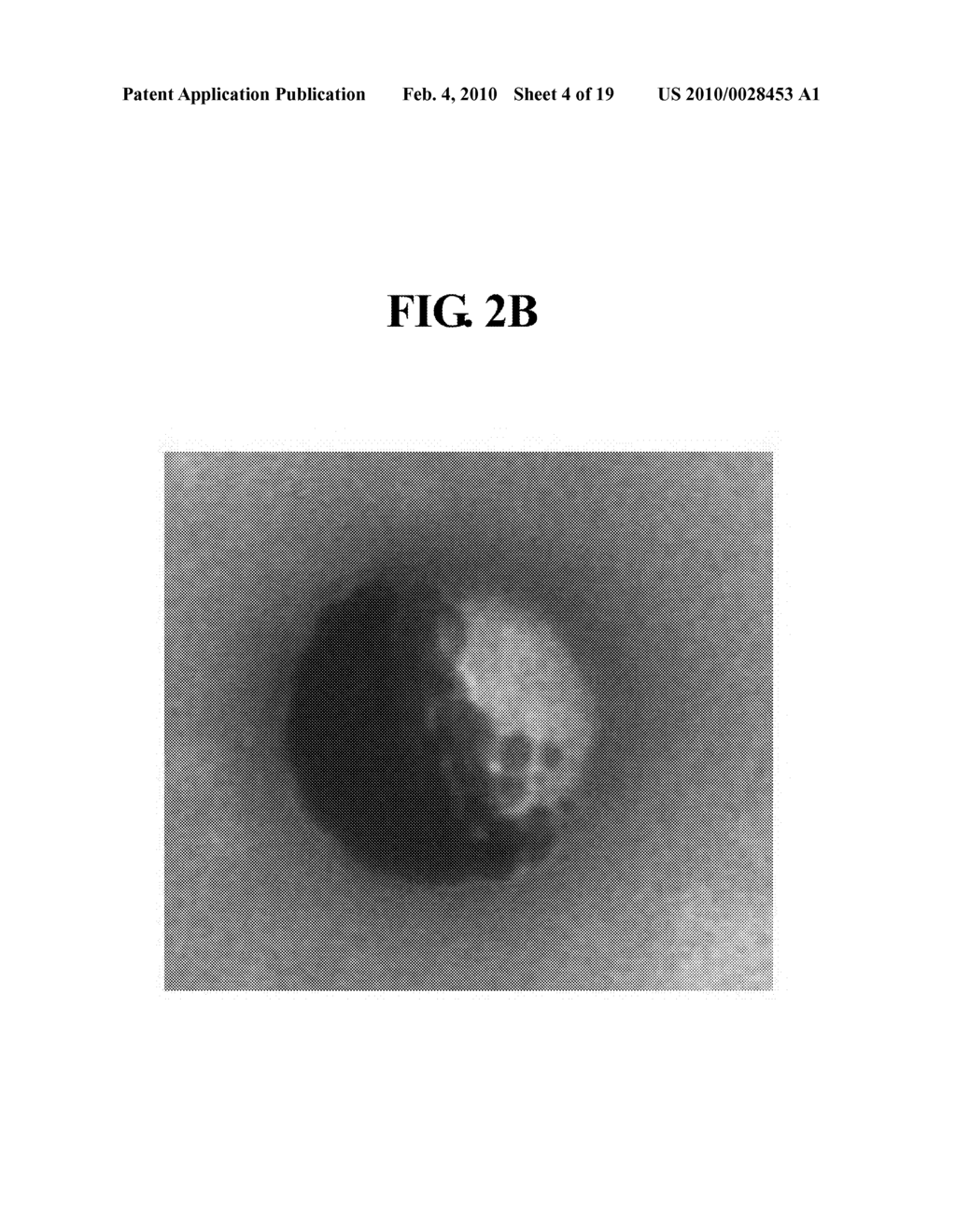 MULTI -FUNCTIONAL NANOPARTICLES PARTIALLY-DEPOSITED WITH GOLD FILM - diagram, schematic, and image 05