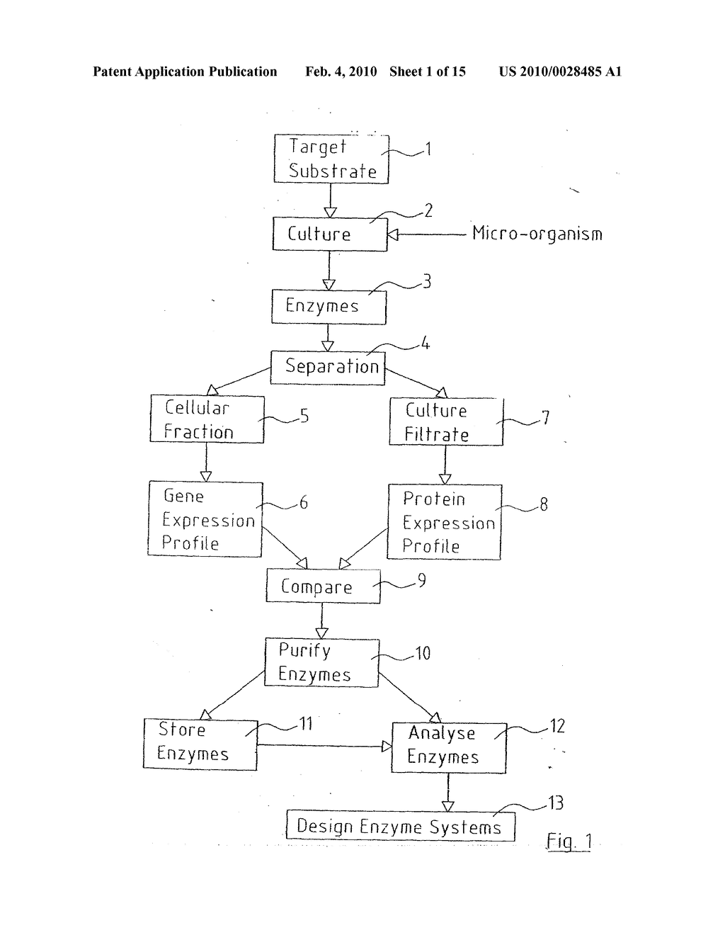 TALAROMYCES EMERSONII ENZYME SYSTEMS - diagram, schematic, and image 02