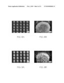 HIERARCHICAL STRUCTURES FOR SUPERHYDROPHOBIC SURFACES AND METHODS OF MAKING diagram and image