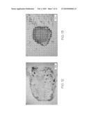 HIERARCHICAL STRUCTURES FOR SUPERHYDROPHOBIC SURFACES AND METHODS OF MAKING diagram and image