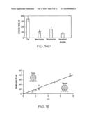 HIERARCHICAL STRUCTURES FOR SUPERHYDROPHOBIC SURFACES AND METHODS OF MAKING diagram and image