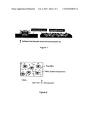 Nanoengineered composite defog coating diagram and image