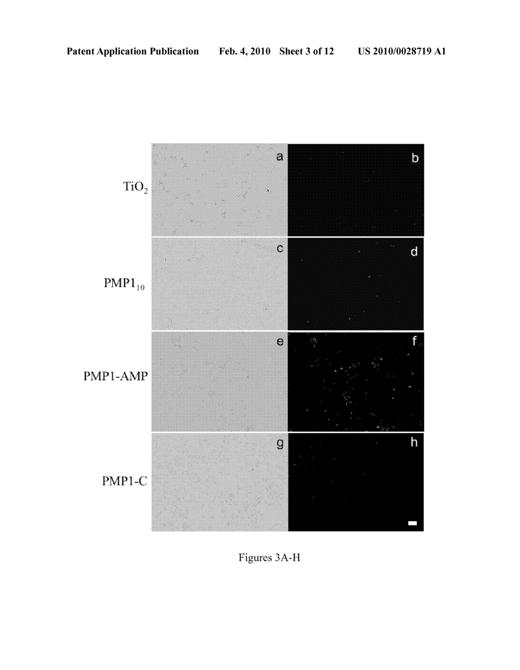 Surface-Immobilized Antimicrobial Peptoids - diagram, schematic, and image 04