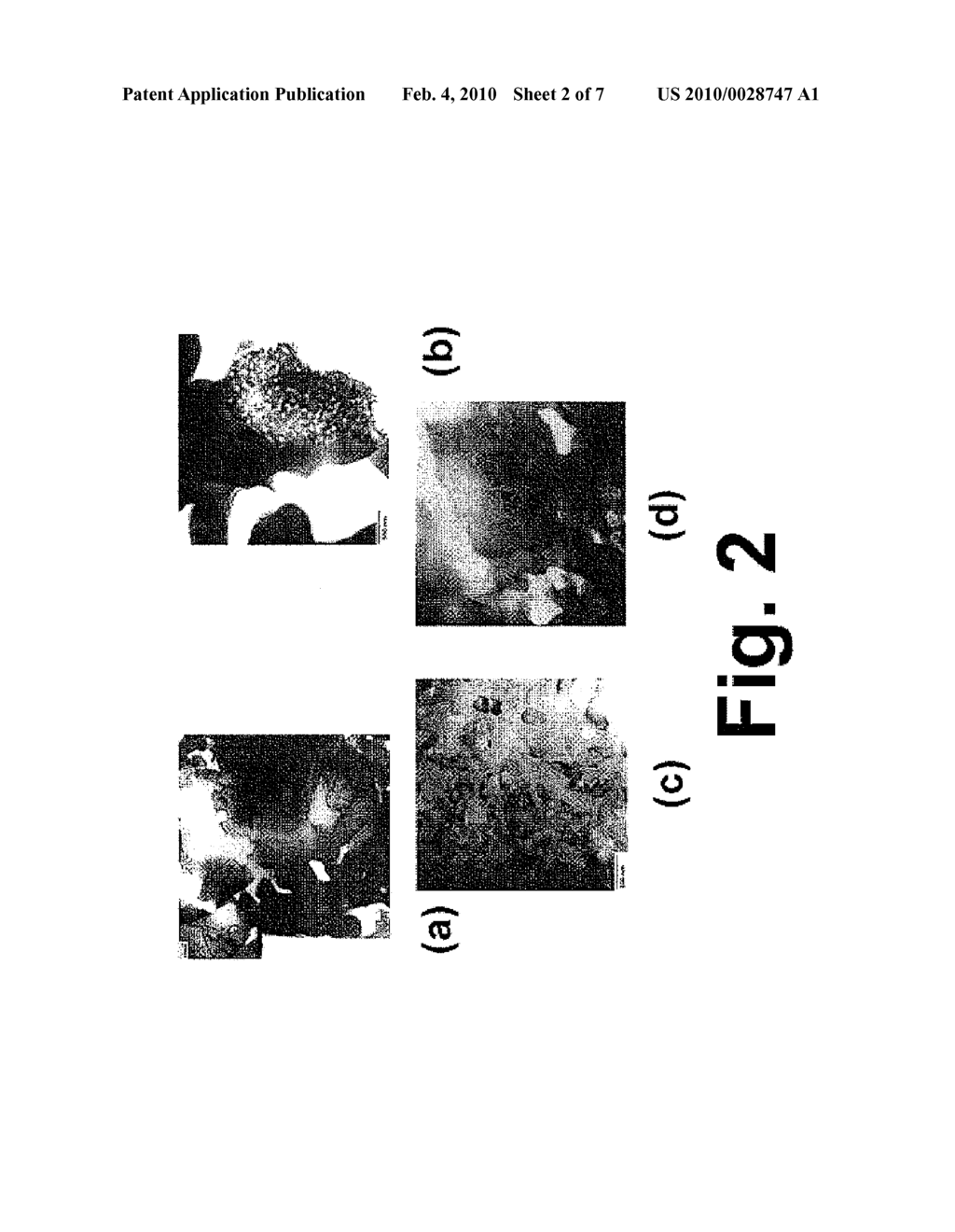 PRECONDITIONING TREATMENT TO ENHANCE REDOX TOLERANCE OF SOLID OXIDE FUEL CELLS - diagram, schematic, and image 03