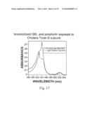 OPTICAL DETERMINATION OF LIVING VS. NON LIVING CELLS diagram and image