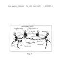 OPTICAL DETERMINATION OF LIVING VS. NON LIVING CELLS diagram and image