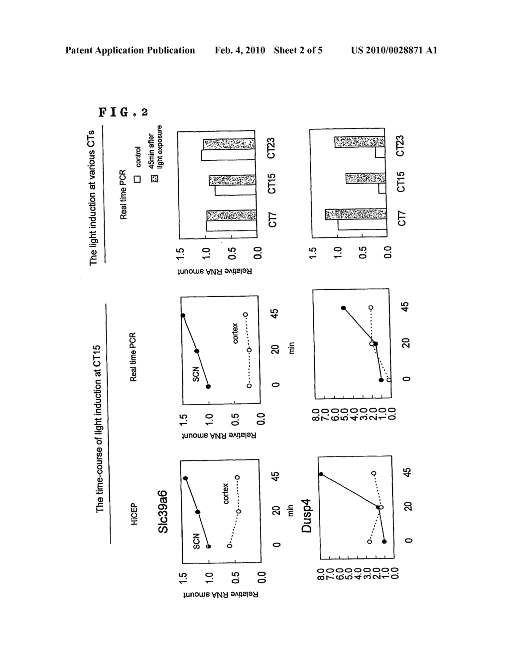 Light-inducible and rhythmically expressed genes and method for screening substances that affect an internal clock system - diagram, schematic, and image 03