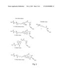 Labelled nucleotides diagram and image