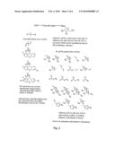 Labelled nucleotides diagram and image