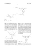 Labelled nucleotides diagram and image