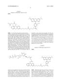 Labelled nucleotides diagram and image