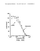 CHARACTERIZATION OF GRP94-LIGAND INTERACTIONS AND PURIFICATION, SCREENING, AND THERAPEUTIC METHODS RELATING THERETO diagram and image