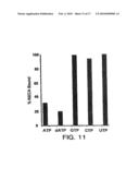 CHARACTERIZATION OF GRP94-LIGAND INTERACTIONS AND PURIFICATION, SCREENING, AND THERAPEUTIC METHODS RELATING THERETO diagram and image