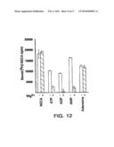 CHARACTERIZATION OF GRP94-LIGAND INTERACTIONS AND PURIFICATION, SCREENING, AND THERAPEUTIC METHODS RELATING THERETO diagram and image