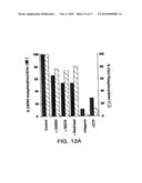 CHARACTERIZATION OF GRP94-LIGAND INTERACTIONS AND PURIFICATION, SCREENING, AND THERAPEUTIC METHODS RELATING THERETO diagram and image