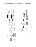 Novel Antigens and Antibodies Associated to Pancreatic Ductal Adenocarcinoma diagram and image