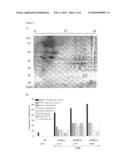 Novel Antigens and Antibodies Associated to Pancreatic Ductal Adenocarcinoma diagram and image