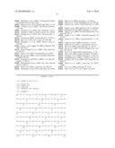 Novel Antigens and Antibodies Associated to Pancreatic Ductal Adenocarcinoma diagram and image