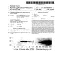 METHOD FOR THE EARLY DETECTION OF RENAL INJURY diagram and image