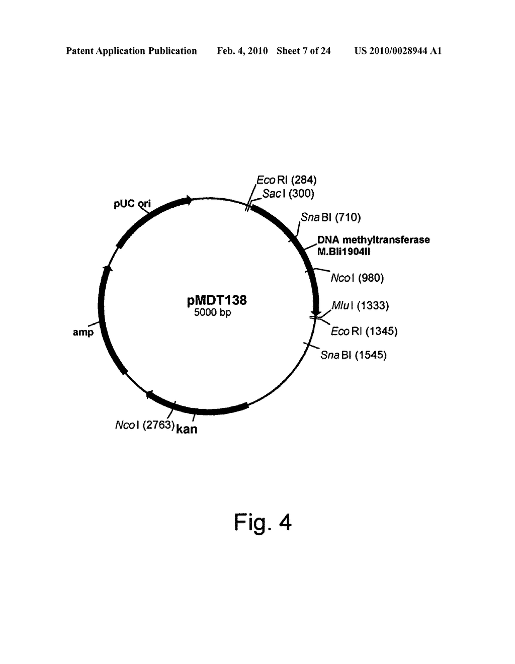 Methods of obtaining genetic competence in bacillus cells - diagram, schematic, and image 08