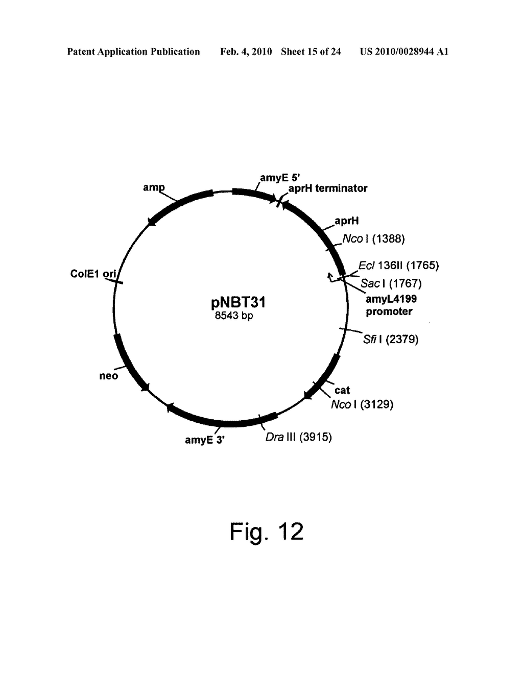 Methods of obtaining genetic competence in bacillus cells - diagram, schematic, and image 16