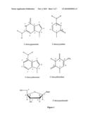 Template-dependent nucleic acid polymerization using oligonucleotide triphosphate building blocks diagram and image