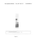 Template-dependent nucleic acid polymerization using oligonucleotide triphosphate building blocks diagram and image