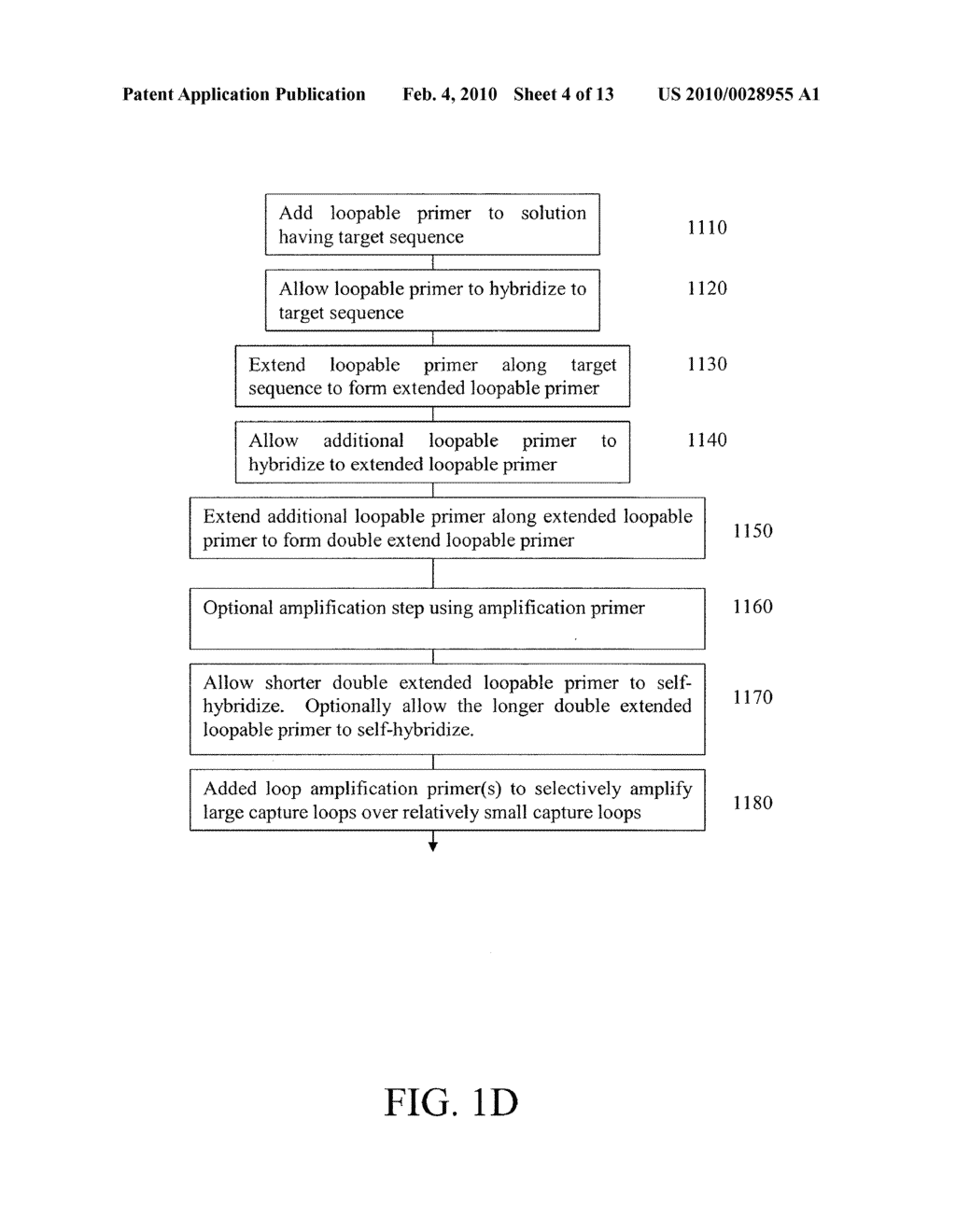 Sequence Amplification with Target Primers - diagram, schematic, and image 05