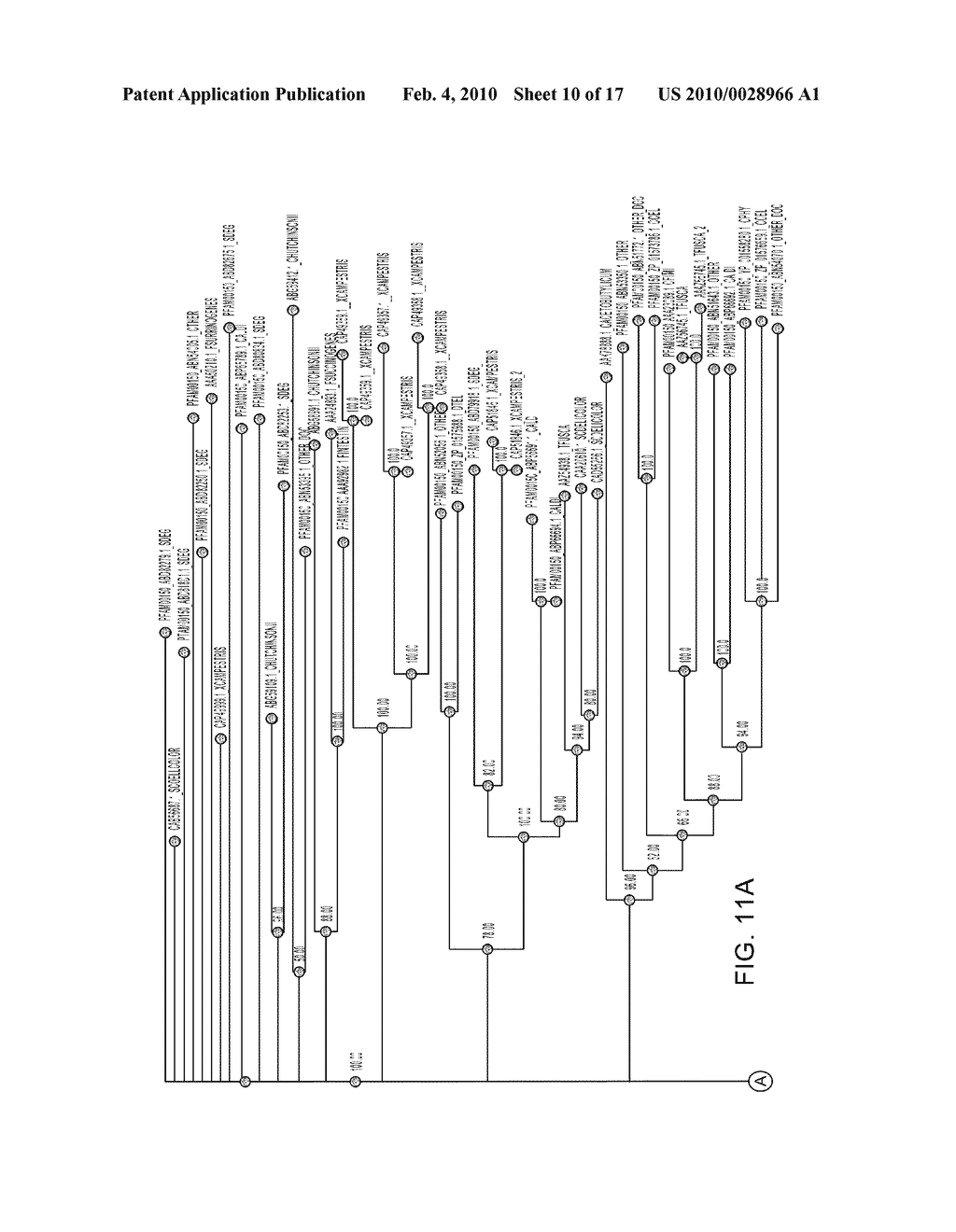 Methods and Compositions for Improving The production Of Products In Microorganisms - diagram, schematic, and image 11