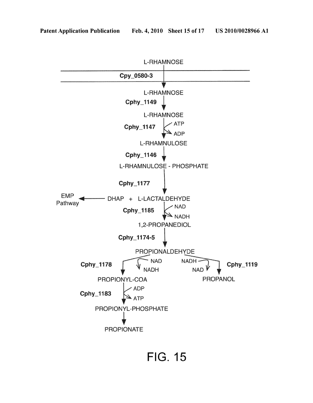 Methods and Compositions for Improving The production Of Products In Microorganisms - diagram, schematic, and image 16