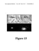 MICROWAVE ACCELERATED ASSAYS diagram and image