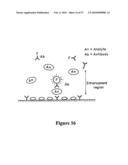 MICROWAVE ACCELERATED ASSAYS diagram and image